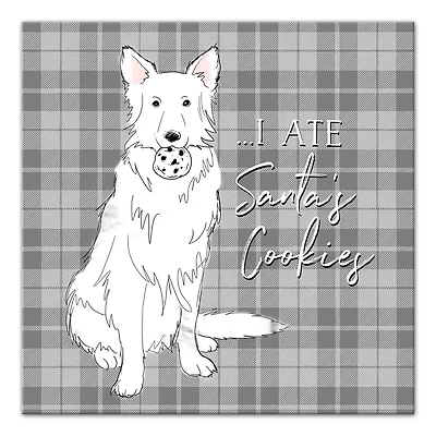 I Ate Santa's Cookies 12x12 Canvas Wall Art