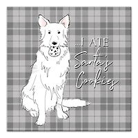 I Ate Santa's Cookies 12x12 Canvas Wall Art