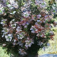 Design Toscano 15" Vase of Flowers 1882 Canvas Replica Painting