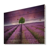 Designart - Stunning Lavender Field Summer Sunset With Tree