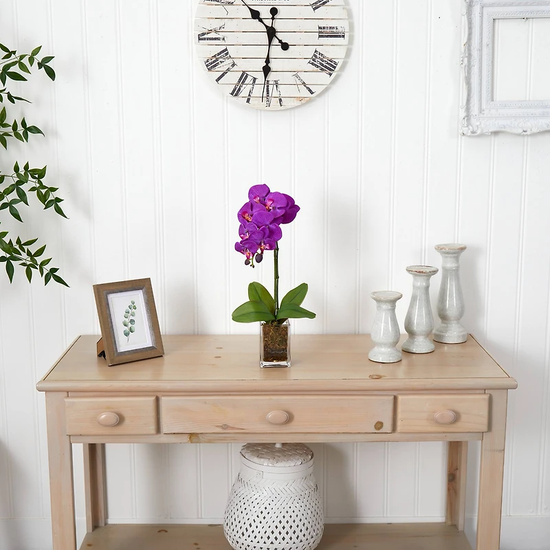 24" Moth Orchid Arrangement in Vase