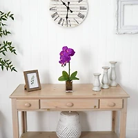 24" Moth Orchid Arrangement in Vase