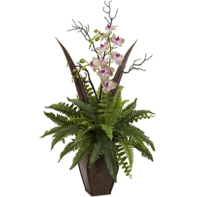 Fern & Orchid Floral Arrangement