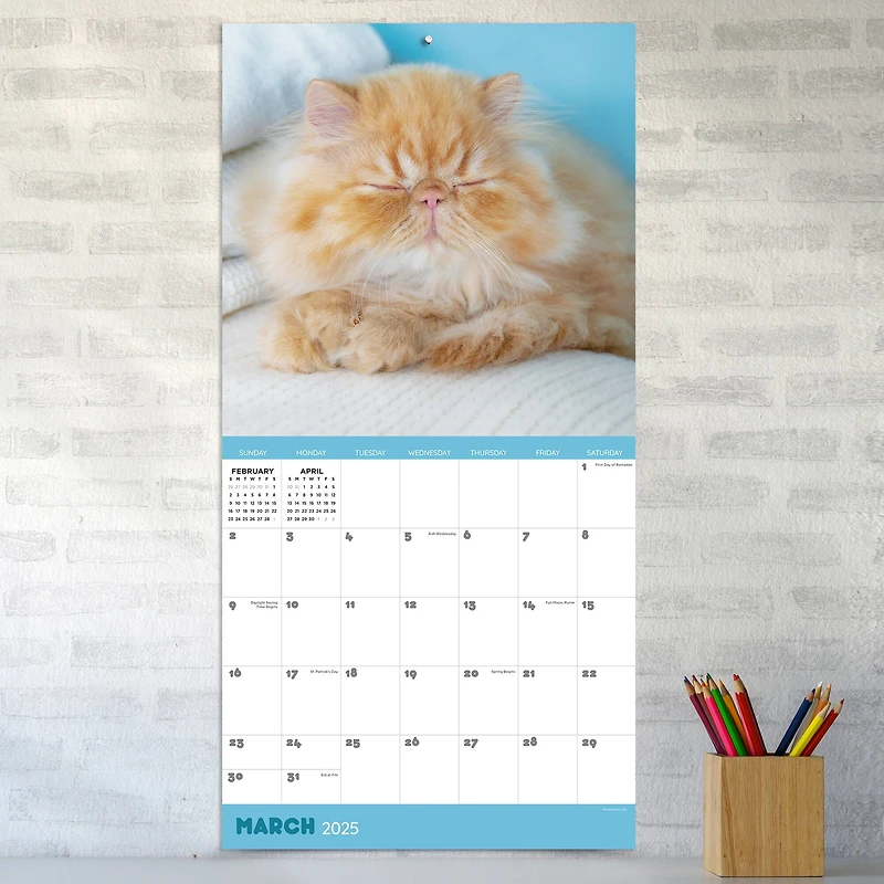 TF Publishing 2025 Cat Dreams Wall Calendar