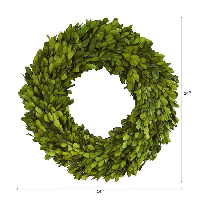 14'' Green Preserved Boxwood Wreath