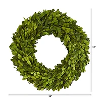 14'' Green Preserved Boxwood Wreath