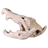 Design Toscano 28" Crocodile Skull Sculptural Artifact