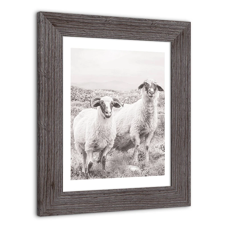 Sheep on Hill Western Framed Print