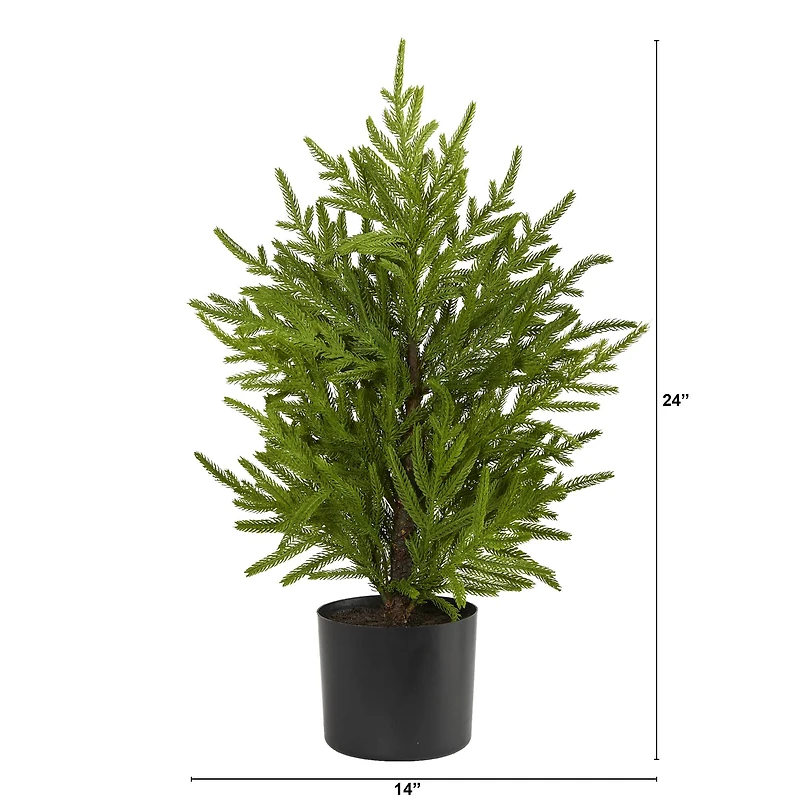 2ft. Unlit Norfolk Island Pine Artificial Potted Christmas Tree