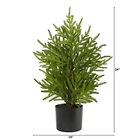 2ft. Unlit Norfolk Island Pine Artificial Potted Christmas Tree