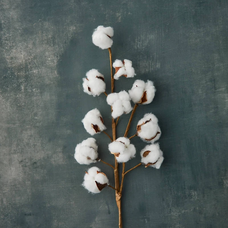 Cotton Stem by Ashland®