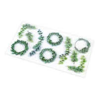 Eucalyptus Stickers by Recollections™