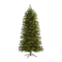 7ft. Pre-Lit Belgium Fir Artificial Christmas Tree, Clear LED Lights