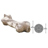 Design Toscano 3.5ft. Gigantic Dinosaur Bone Sculpture