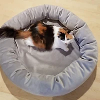 Royal Pet Bed Large Washable Luxury Velvet Dog Bed