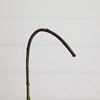 20" Pink Hydrangea Flower Stems, 3ct.