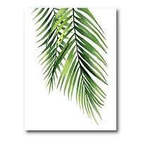 Designart - Detail Tropical Palm Branches