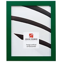 Craig Frames Confetti Shamrock Green Picture Frame