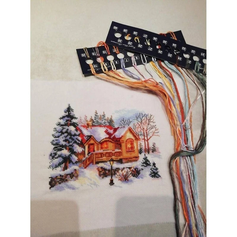 Alisa February House Cross Stitch Kit