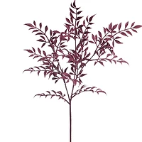 30" Fern Stem by Ashland