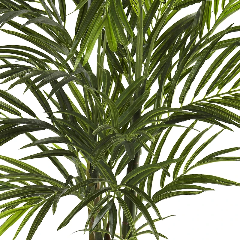 2.5ft. Potted Areca Palm