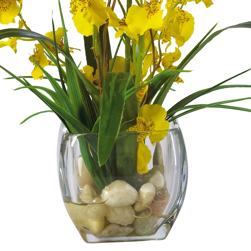 19" Yellow Dancing Lady Orchid Arrangement in Glass Vase