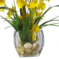 19" Yellow Dancing Lady Orchid Arrangement in Glass Vase