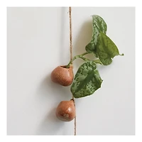 Hello Honey® 21.5" Brown Stoneware Hanging Vases on Jute Rope with Reactive Glaze