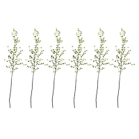 Green Night Willow Stem, 6ct.