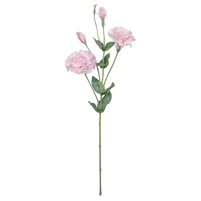 27" Lisianthus Stem by Ashland