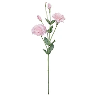 27" Lisianthus Stem by Ashland