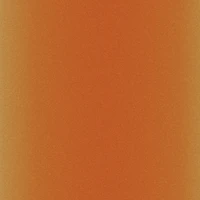 6 Packs: 2 ct. (12 total) Cricut® Infusible Ink™ Transfer Sheets, Leopard