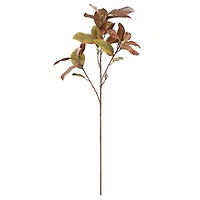 37" Brown Magnolia Leaf Stem by Ashland®