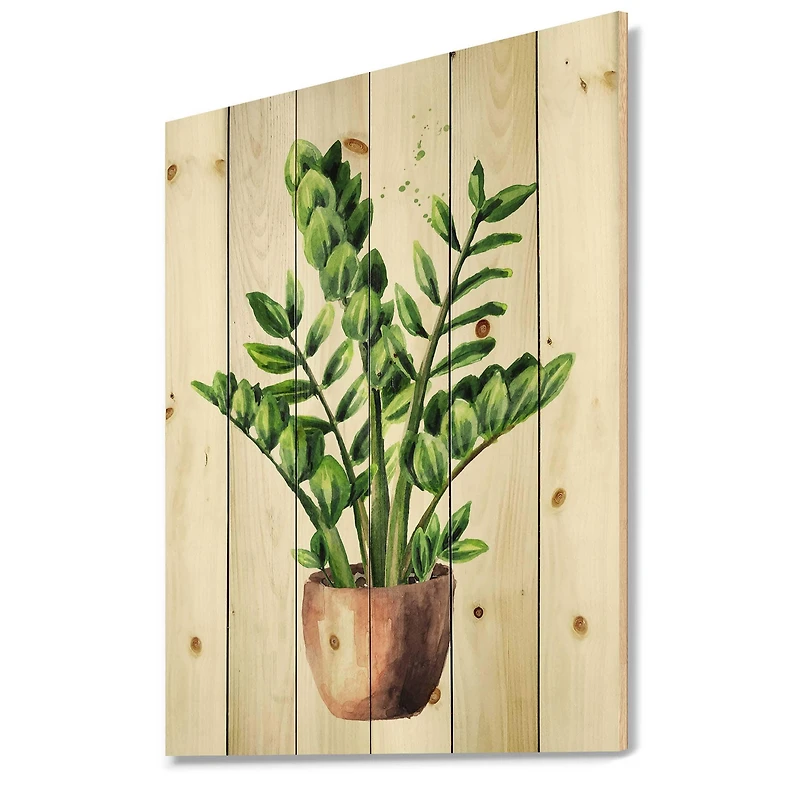 Designart - Zamioculcas Tropical Plant With Green Leaves