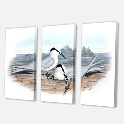 Designart - Vintage Birds In The Wild IX