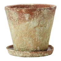 Hello Honey® Distressed Terracotta Cement Planter with Saucer Set