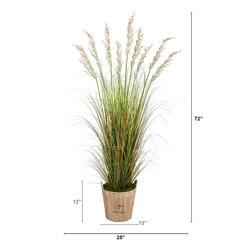 6ft. Grass Plant in Farmhouse Planter