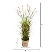 6ft. Grass Plant in Farmhouse Planter