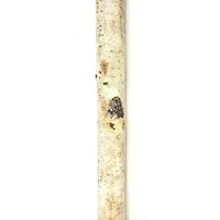 4ft. Sugared Birch Log by Ashland®
