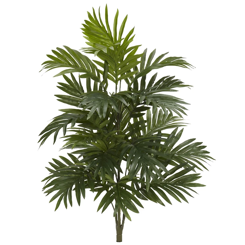 30" Areca Palm Plant, 3ct.