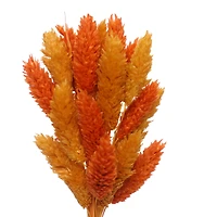 7" Orange & Yellow Dried Reed Canary Grass Mini Bundle by Ashland®