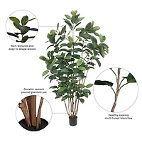 7ft. Potted Green Rubber Tree