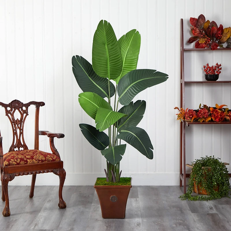 5.5ft. Travelers Palm Artificial Tree in Brown Planter