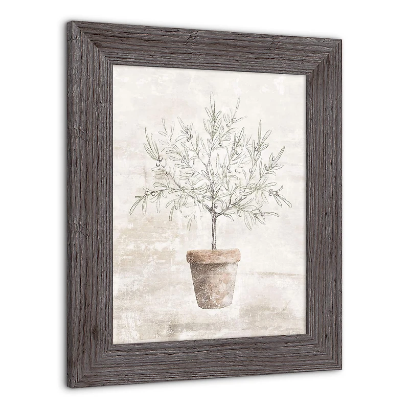 Distressed Olive Tree Western Framed Print