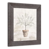 Distressed Olive Tree Western Framed Print