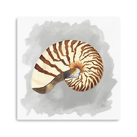 Shells On Grey III Canvas Giclee