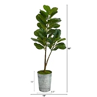 4ft. Fiddle Leaf Fig Tree in Metal Planter