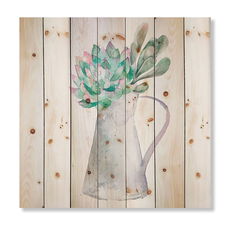 Designart - Succulent Home Plant