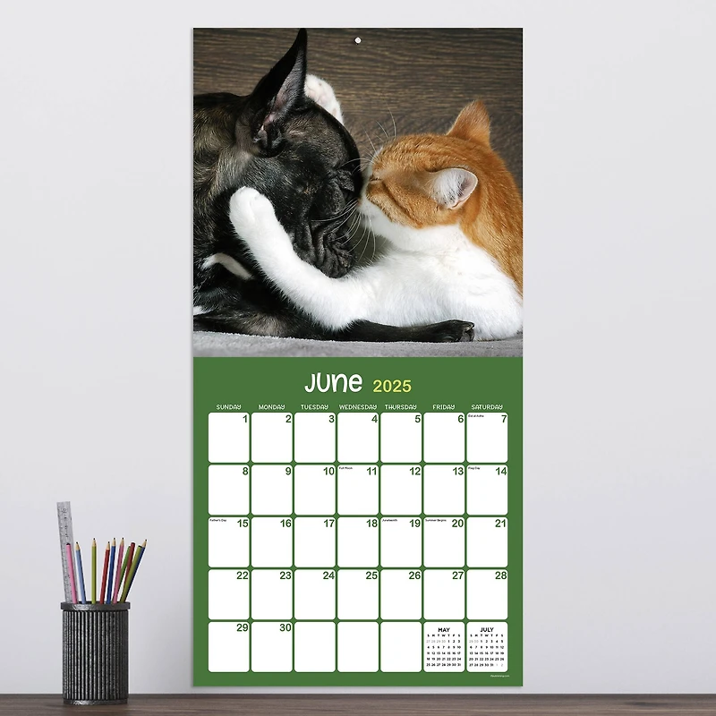 TF Publishing 2025 Furry Friends Wall Calendar
