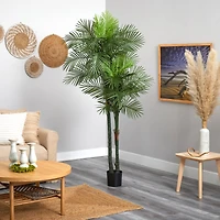 7ft. Potted Double Robellini Palm Tree